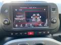 Fiat Panda Panda III 2021 1.0 firefly hybrid City Life s Grigio - thumbnail 13