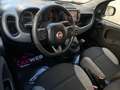 Fiat Panda Panda III 2021 1.0 firefly hybrid City Life s Grigio - thumbnail 8