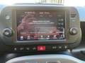 Fiat Panda Panda III 2021 1.0 firefly hybrid City Life s Grigio - thumbnail 14