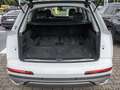 Audi Q7 50 TDI quattro S line PANO HUD AKTIVSITZE Weiß - thumbnail 21