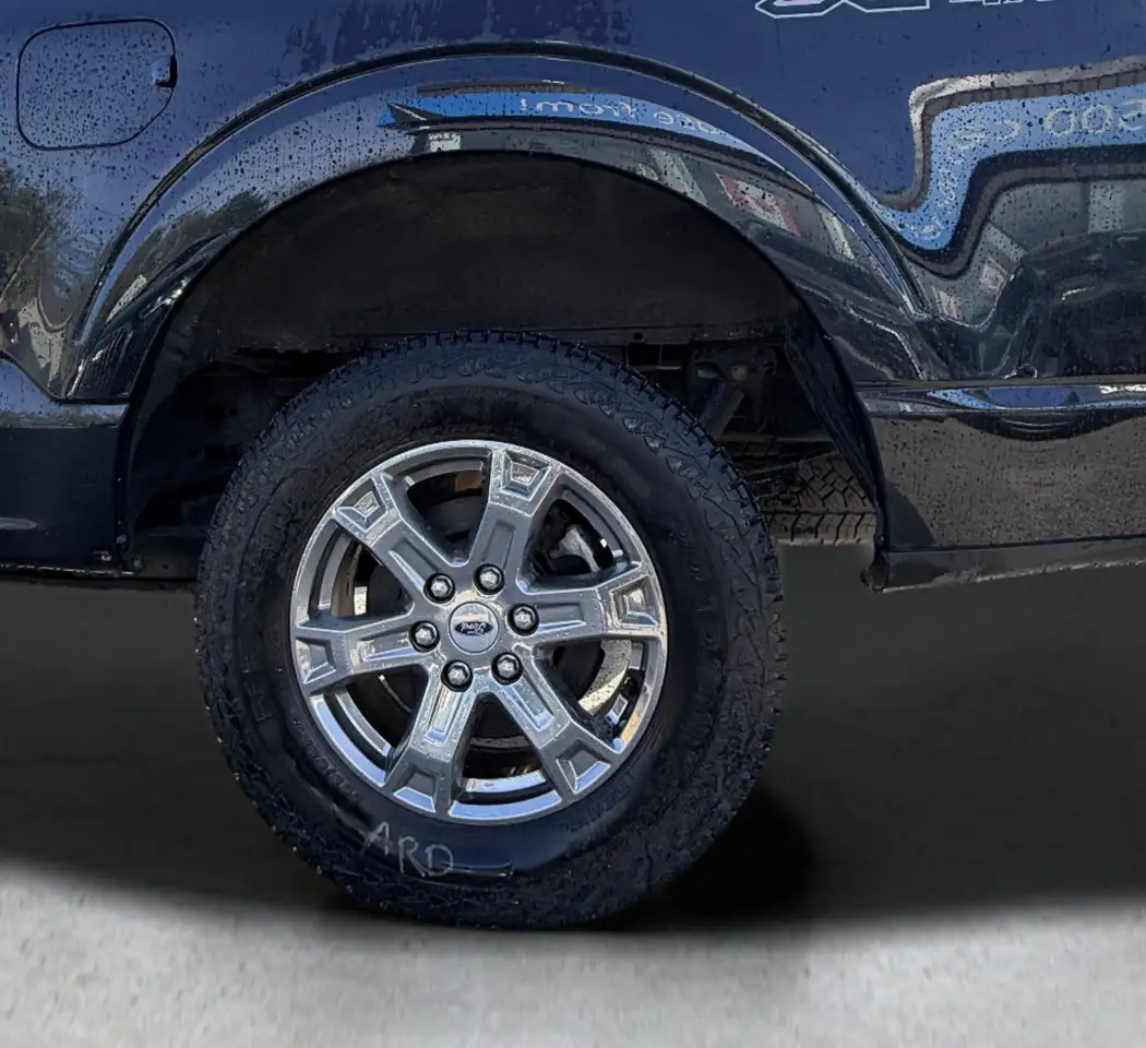 Ford F 150 fotografie Ford F 150