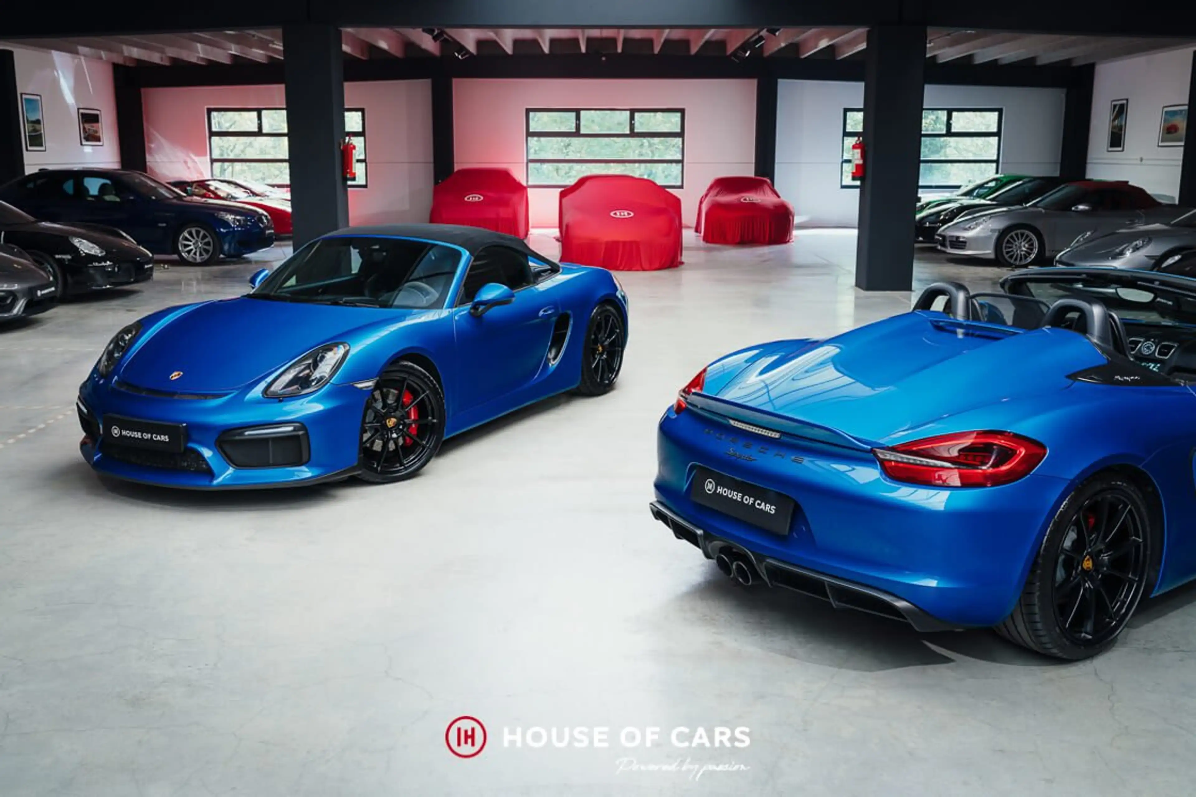 Porsche Boxster 981 Boxster Spyder - 1st paint - 1st owner - PPF