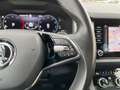 Skoda Kodiaq 2,0 TDI Style DSG | 7SITZE Grau - thumbnail 43