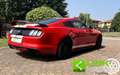 Ford Mustang 2.3 EcoBoost 317 CV Rosso - thumbnail 14