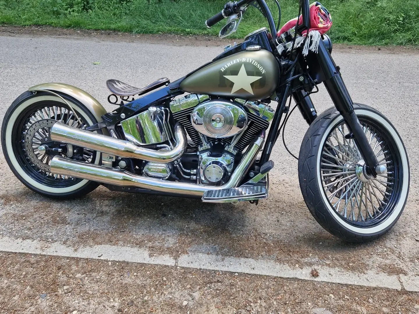 Harley-Davidson Softail Verde - 2