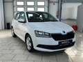 Skoda Fabia 1.0 MPI Active Klima Freisprech SHZ PDC Weiß - thumbnail 8