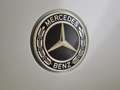 Mercedes-Benz C 300 Estate e AMG Line / Panoramadak/ Night/ El. Trekha Gris - thumbnail 30