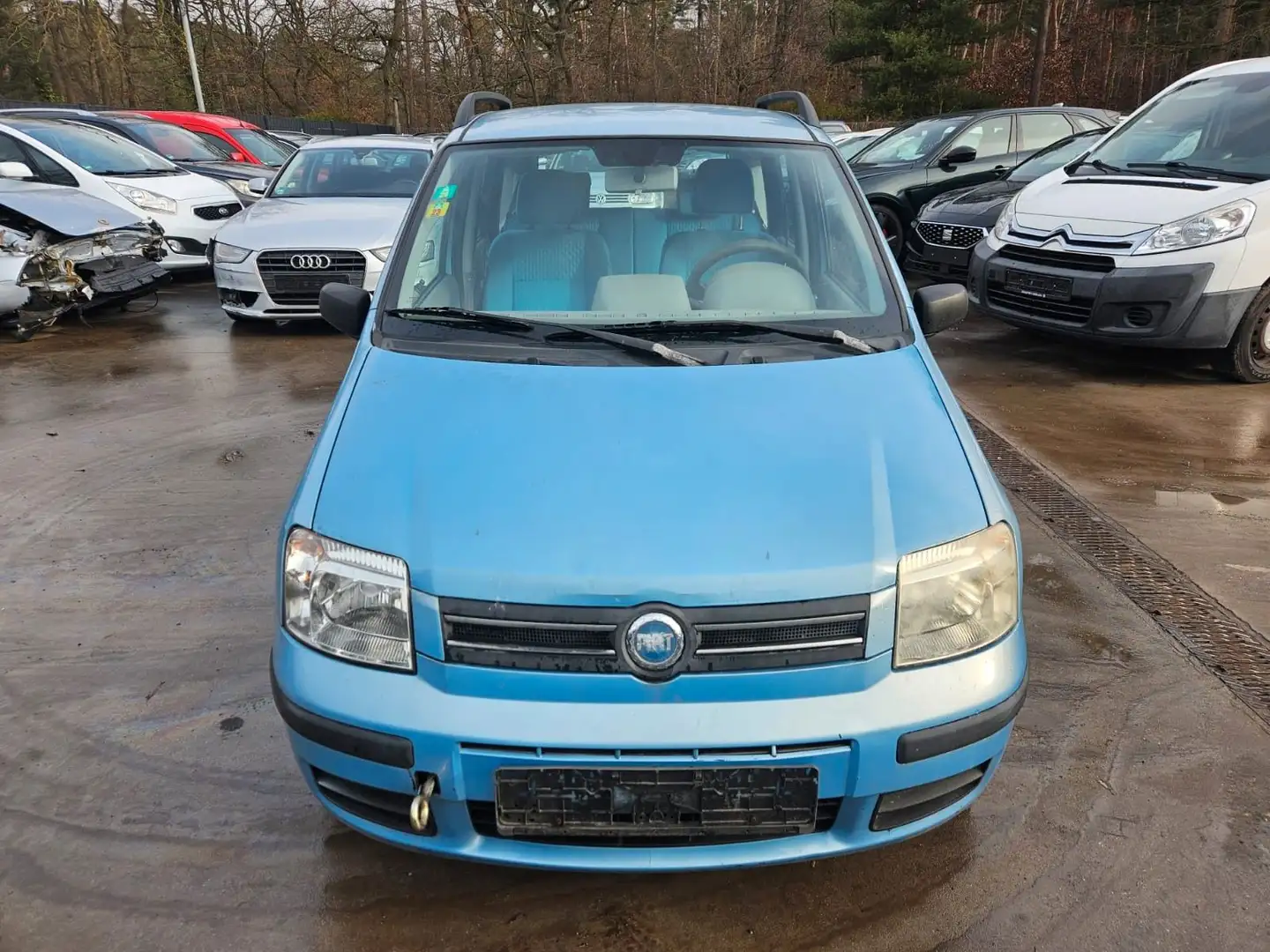 Fiat Panda 1.2 8V Dynamic Blau - 1