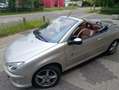 Peugeot 206 206 CC 110 Roland Garros - thumbnail 14