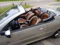 Peugeot 206 206 CC 110 Roland Garros - thumbnail 13