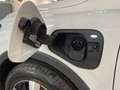 Volkswagen Tiguan Tiguan 1.5 TSI eHybrid DSG Edition Plus Weiß - thumbnail 20
