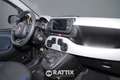 Fiat Panda 1.0 Firefly Hybrid 70CV Cross 5p.ti Giallo - thumbnail 15