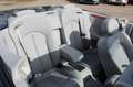 Mercedes-Benz CLK 200 Cabrio K*ELEGANCE*Leder*AMG Felgen*Tempo Blau - thumbnail 6