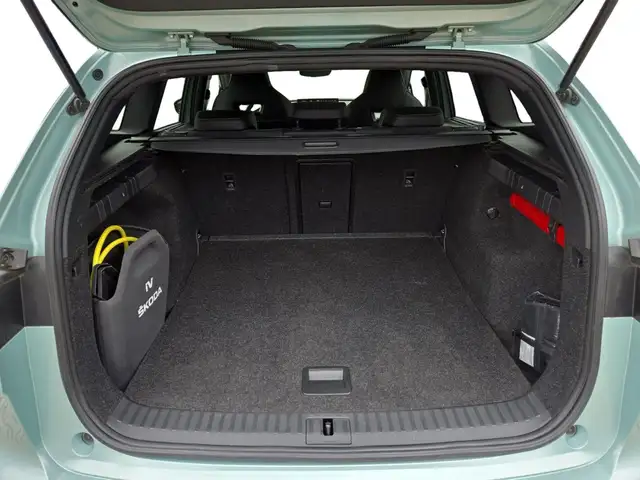 Skoda Enyaq view 14