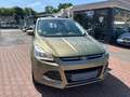 Ford Kuga 2.0 4x4 Titanium*GGG GARANTIE*AUTOMATIK* Grün - thumbnail 3