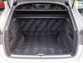 Audi RS4 A4 Avant 2.9 TFSI quattro Pro Line Plus | Massage Gris - thumbnail 23