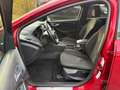 Ford Focus ST-Line 1.5 150 PK - AUTOMAAT - SYNC3 - 17" lichtm Rosso - thumbnail 9
