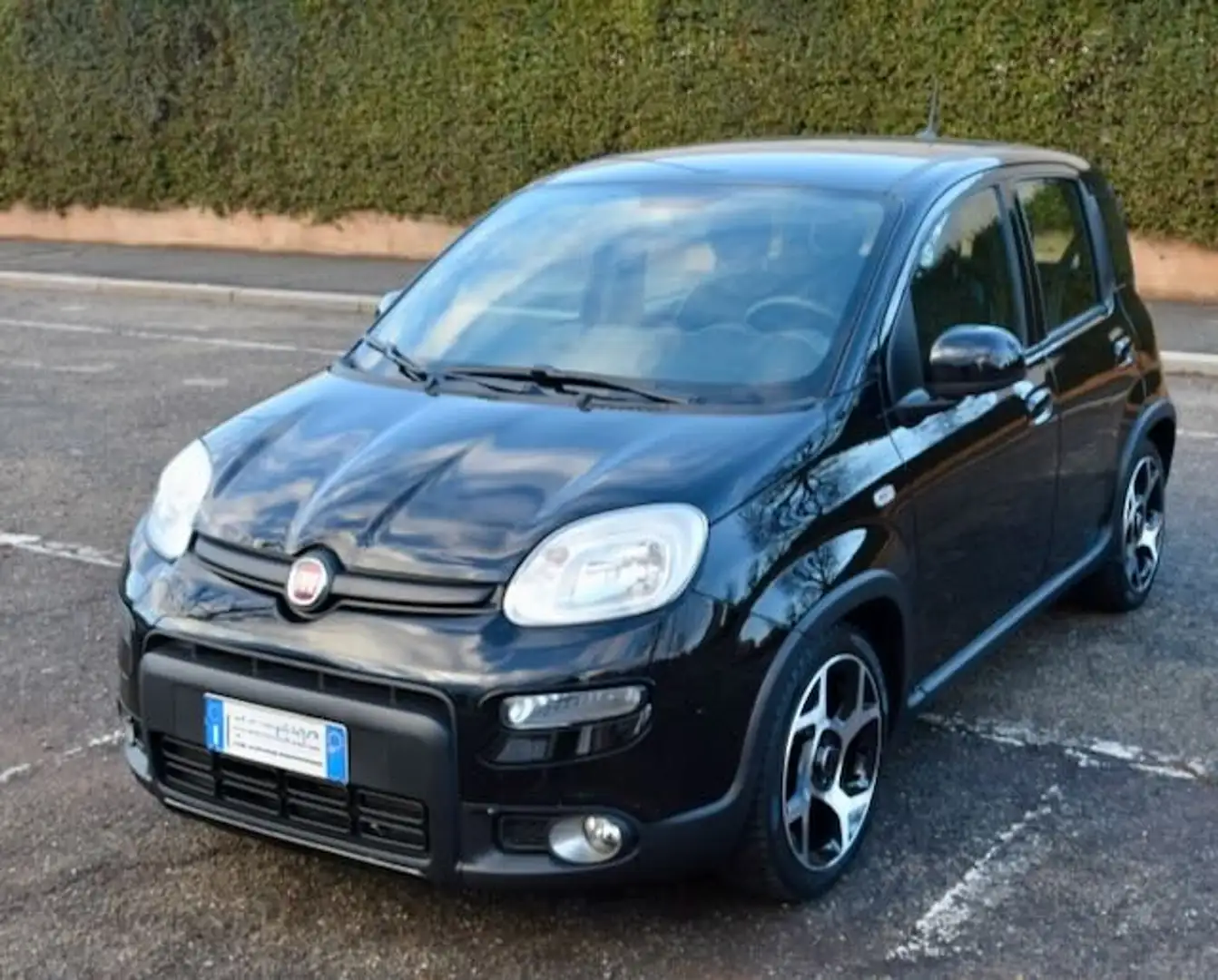 Fiat Panda Panda 1.0 Firefly Hybrid Sport Nero - 2