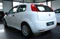Fiat Punto 1.3 16V Multijet Start&Stopp EASY Білий - thumbnail 3