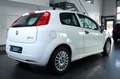 Fiat Punto 1.3 16V Multijet Start&Stopp EASY Bílá - thumbnail 4