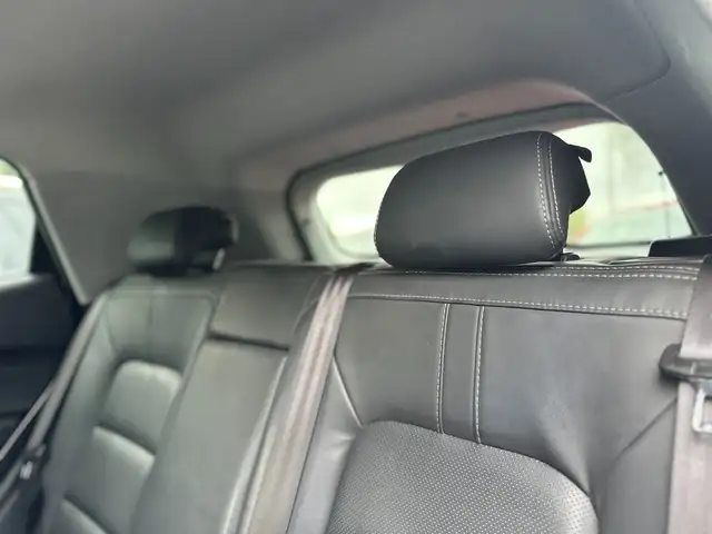 DR Automobiles DR4.0 view 20