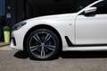 BMW 730 d xDrive Eccelsa MSport 360Cam Tetto Gesture ACC+ Blanc - thumbnail 19