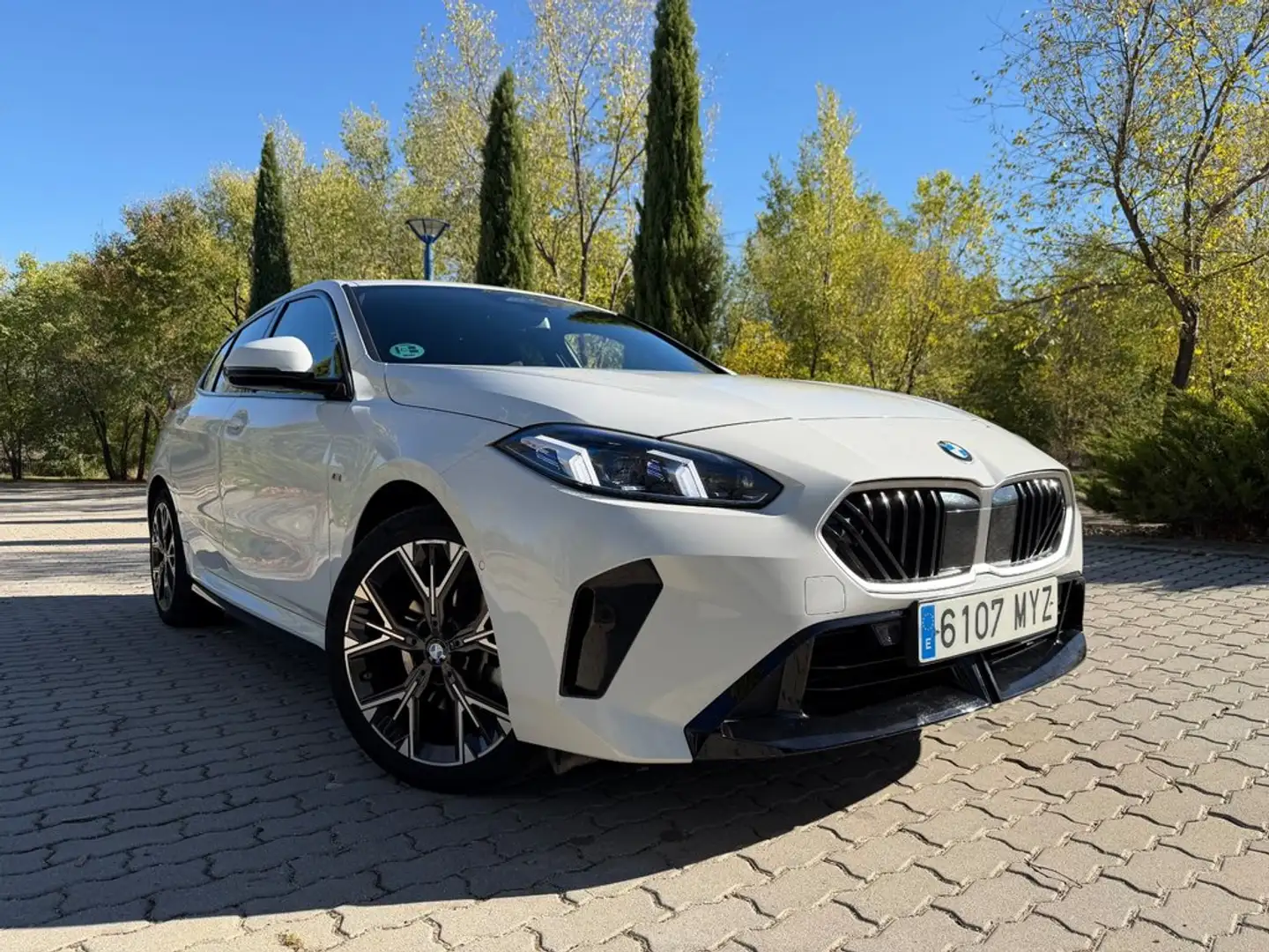 BMW 116 118d Blanco - 2