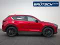 Mazda CX-5 Homura 2.5 AWD AUTOMATIK / ACC / LED / BOSE / NAVI Rojo - thumbnail 8