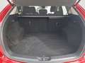 Mazda CX-5 Homura 2.5 AWD AUTOMATIK / ACC / LED / BOSE / NAVI Rojo - thumbnail 16