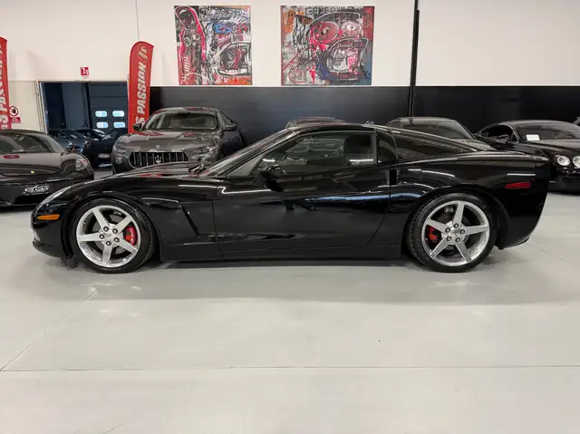 Corvette C6 Coupe Corvette Coupe 6.0 V8 TARGA MANUALE ASI CRS