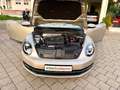 Volkswagen Beetle Cabrio 2.0 Sport Aut.Klima Xen. Leder PDC Silber - thumbnail 12