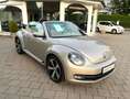 Volkswagen Beetle Cabrio 2.0 Sport Aut.Klima Xen. Leder PDC Silber - thumbnail 2
