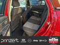 Suzuki S-Cross 1.4 MEHV AT6 "Comfort" Allwetter*LED*KeyFree Rot - thumbnail 13