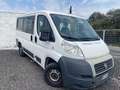 Fiat Ducato Bianco - thumbnail 10