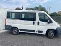 Fiat Ducato Bianco - thumbnail 9