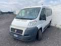 Fiat Ducato Bianco - thumbnail 1