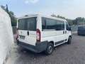 Fiat Ducato Bianco - thumbnail 8