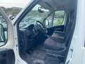 Fiat Ducato Bianco - thumbnail 2