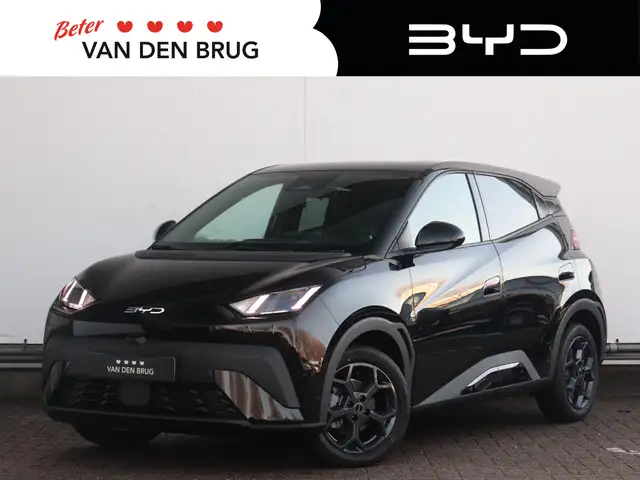 BYD Dolphin Surf