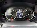Lexus NX 300h AWD President Line | Afn. trekhaak | Leder | Navig Braun - thumbnail 5
