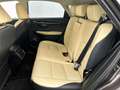 Lexus NX 300h AWD President Line | Afn. trekhaak | Leder | Navig Braun - thumbnail 17