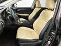 Lexus NX 300h AWD President Line | Afn. trekhaak | Leder | Navig Braun - thumbnail 16