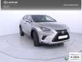 Lexus NX 300 300h Executive Navigation 4WD Gris - thumbnail 23