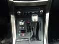 Lexus NX 300 300h Executive Navigation 4WD Gris - thumbnail 19