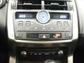 Lexus NX 300 300h Executive Navigation 4WD Gris - thumbnail 20