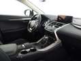 Lexus NX 300 300h Executive Navigation 4WD Gris - thumbnail 6