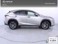Lexus NX 300 300h Executive Navigation 4WD Gris - thumbnail 21