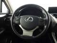 Lexus NX 300 300h Executive Navigation 4WD Gris - thumbnail 9