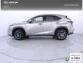 Lexus NX 300 300h Executive Navigation 4WD Gris - thumbnail 3