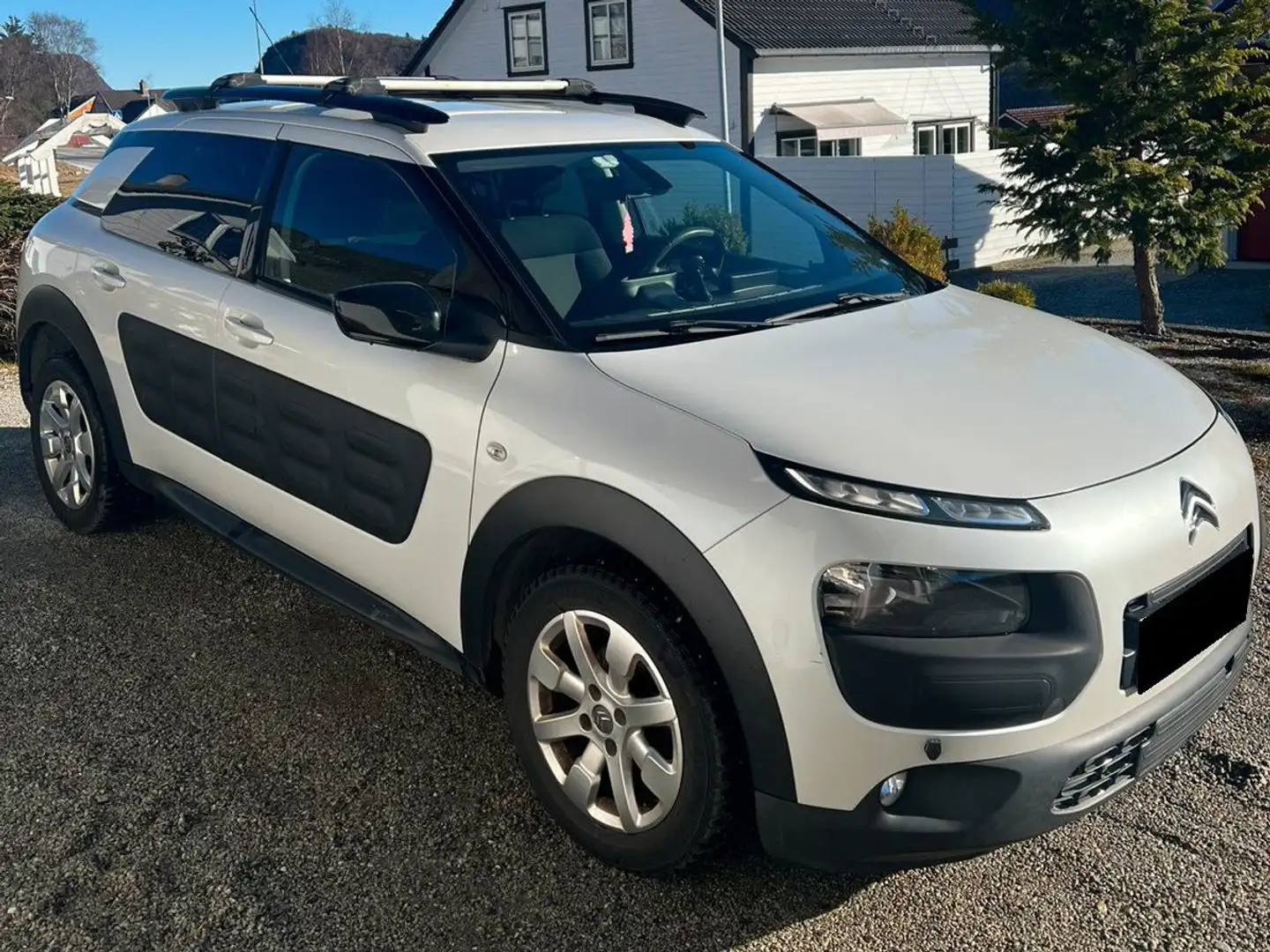 Citroen C4 Cactus 1.6+e-HDi Wit - 1